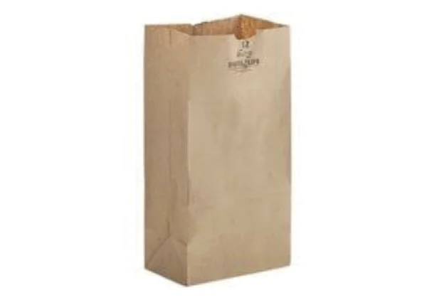 #10 Paper Bag (500 Count)